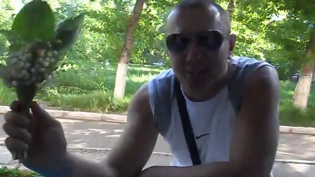 Цветы для любимой смотреть онлайн