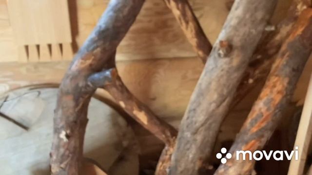 Снегоходы Хибины смотреть онлайн