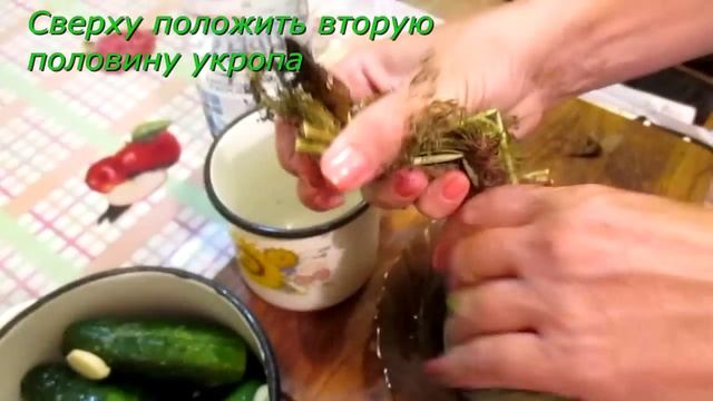 Самые быстрые малосольные огурцы.  Рецепт с минеральной водой. // Олег Карп