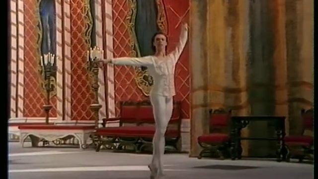 Большое классическое Па Палий Татьяна и Малахов Владимир 1991 смотреть онлайн