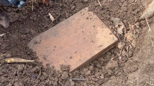 We Found a Treasure Chest. / Treasure Hunt with the Gold Stinger X5 Metal Detector