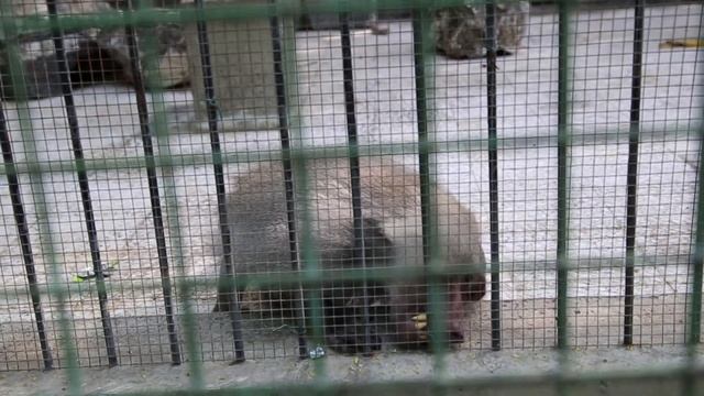 дубай смотреть онлайн