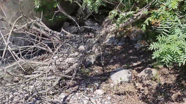 Национальный парк Ала-Арча, Бишкек. смотреть онлайн