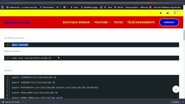 MONTER un NODE ERGO pour miner SOLO- Tuto complet - NODE + STRATUM + mining HiveOS et Windows смотреть онлайн
