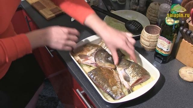 Дизайн и Графика