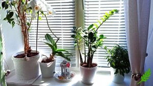 КРАСИМ ПЛАСТИКОВЫЙ  ПОДОКОННИК ЛЕГКО и ПРОСТО, бюджетно! 4 шага покраски, чем покрасить. I Olivia K