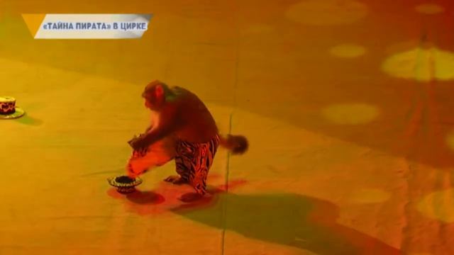 «ТАЙНА ПИРАТА» В ЦИРКЕ смотреть онлайн