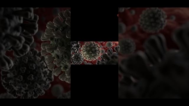 Сколько дней человек заразен при Короновирусе Covid19?