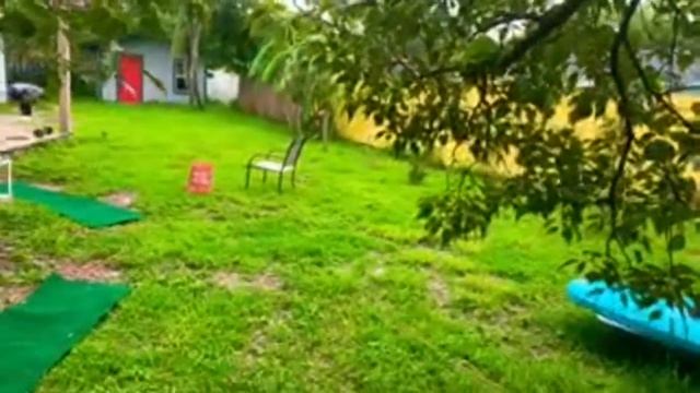 ❤️ отвечу на все вопросы ❤️ без паники КАЖДЫЙ ДОЛЖЕН ЗАНИМАТЬСЯ СВОИМ ДЕЛОМ 08.06.2020 смотреть онлайн