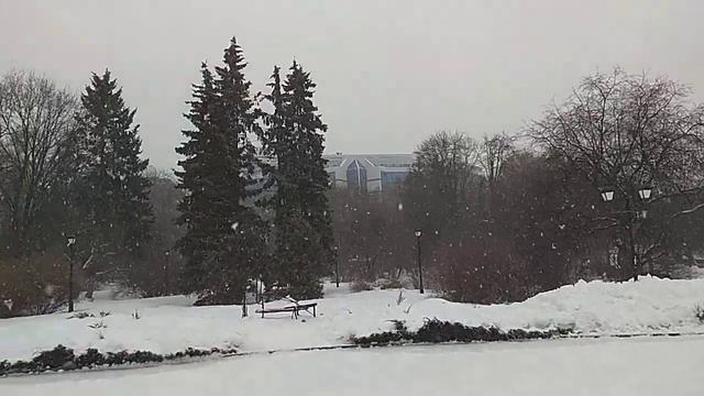 Екатеринбург! Фонтан! ГОЛУБИ! СНЕГ!, +5 !, Безветрие! ,Рабочий День! ТИШИНА! в Дендро парке смотреть онлайн