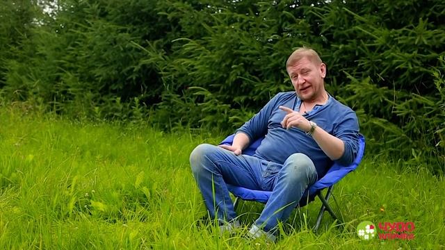 Народные средства для обработки растений на садовом участке смотреть онлайн