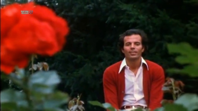 Julio Iglesias - El Amor [Live] смотреть онлайн