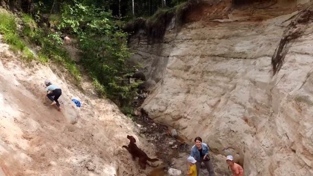 Велопрогулка Луга - Оредеж | 05.06.21 смотреть онлайн