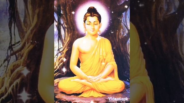 ?ПОСЛАНИЕ БУДДЫ?#Будда#посланиевысшихсил#таро#духовныезнания#медитация#душа смотреть онлайн