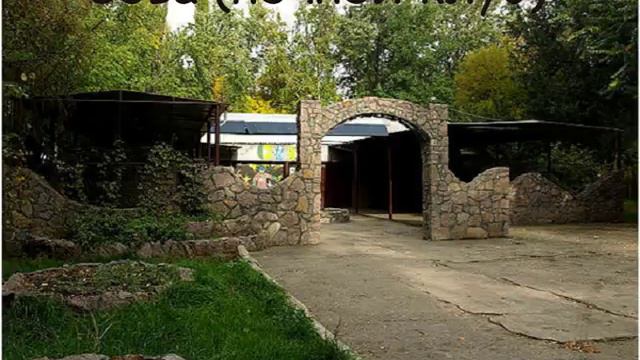 Зеленодольск, мой родной город, Зелик . смотреть онлайн