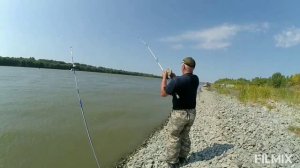 Рыбалка на сазана на Оби. Август 2019 г.