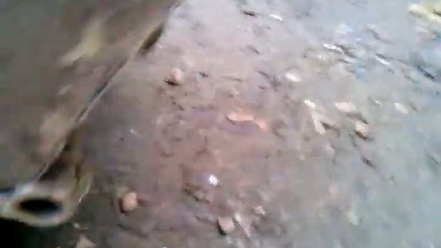 думпер или мини прицеп самосвал для мотоблока смотреть онлайн
