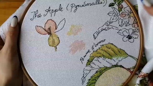 Вышивальная неделя 02.01.22-08.01.22 смотреть онлайн