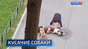 Местное время. Воскресенье 31.03.2024
