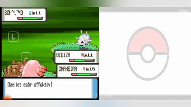 Let's Play Pokémon Perl # 8 Raissa in den Ewigenwald смотреть онлайн