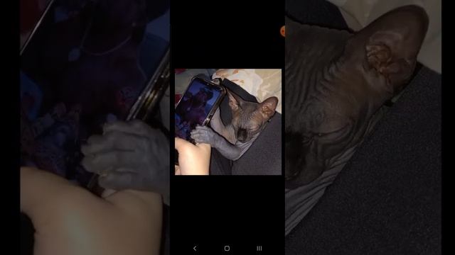 НОВОГОДНИЕ ВИДЕО С КРУТЫМИ ФОТКАМИ СЁМЫ НА 10 МИНУТ❗ смотреть онлайн