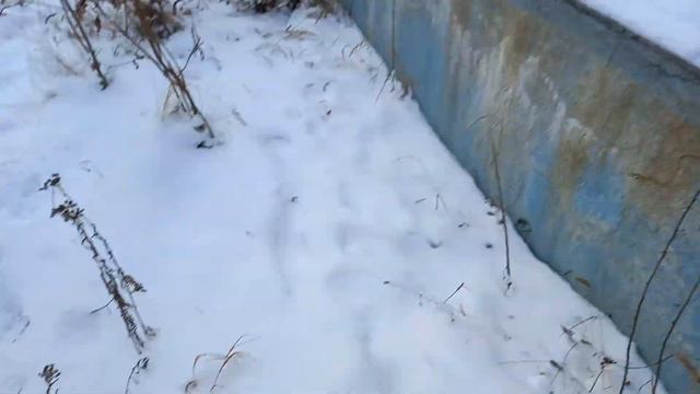 Октябрь в Анадыре 2021г смотреть онлайн