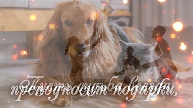 С Днем друзей ! День друзей 9 июня . Красивое поздравление С Днем друзей . Открытка С Днем друзей смотреть онлайн