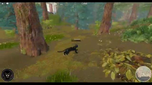 Lake Territory: Reborn is a Warrior Cats roblox fangame that looks stunning! смотреть онлайн