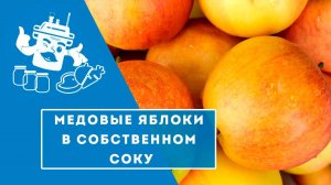 МЕДОВЫЕ ЯБЛОКИ В СОБСТВЕННОМ СОКУ В АВТОКЛАВЕ "ДОМАШНИЙ СТАНДАРТ" / ИДЕАЛЬНАЯ НАЧИНКА К БЛИНАМ
