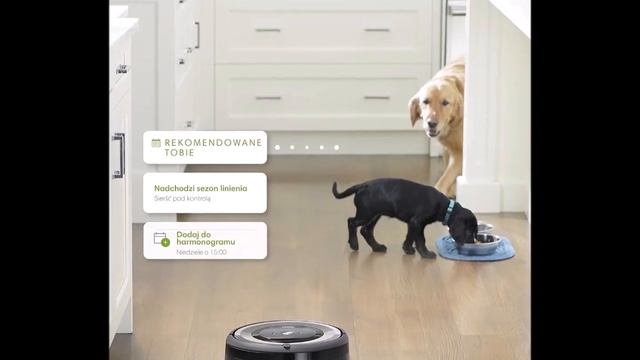 Echo Spot negro + iRobot Roomba e5154 - Robot Aspirador Óptimo Mascotas, Succión 5 Veces Superior смотреть онлайн