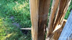 ИЖ 43 ЕМ. Тест патронами с  картечью