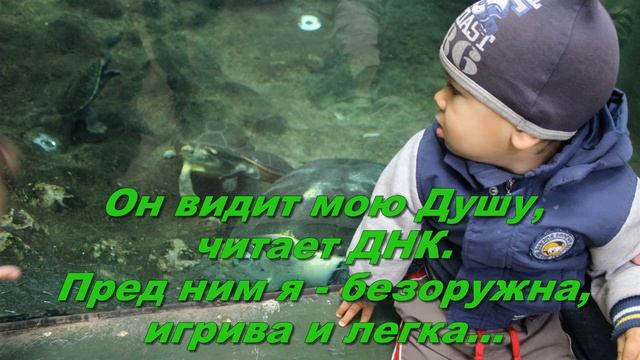 С ВНУКОМ НЕ СКУЧНО смотреть онлайн