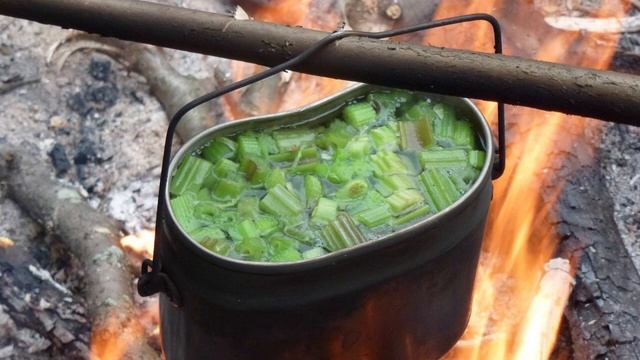 Выживание - 21 смотреть онлайн