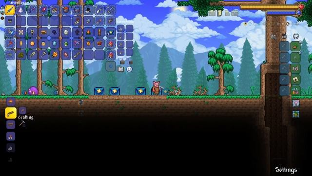 What is the BEST PET in Terraria?!? смотреть онлайн