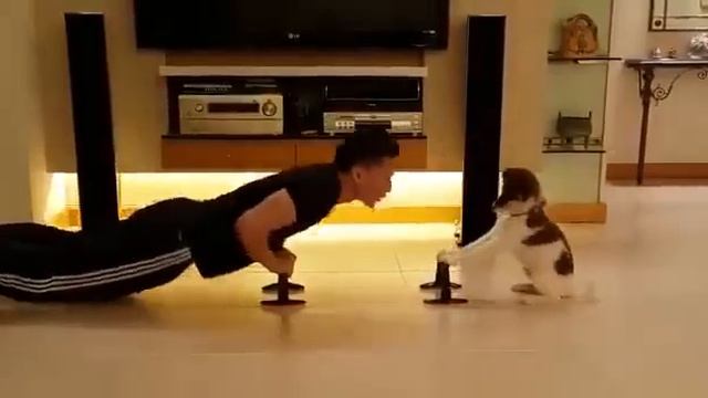 PUPPY LOVE) смотреть онлайн