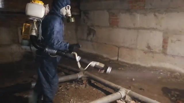 Уничтожение блох в подвале жилого дома смотреть онлайн