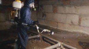 Уничтожение блох в подвале жилого дома