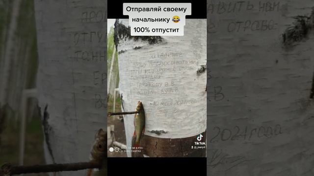 Выходные удались. Рыбалка. Заявление на отгул смотреть онлайн