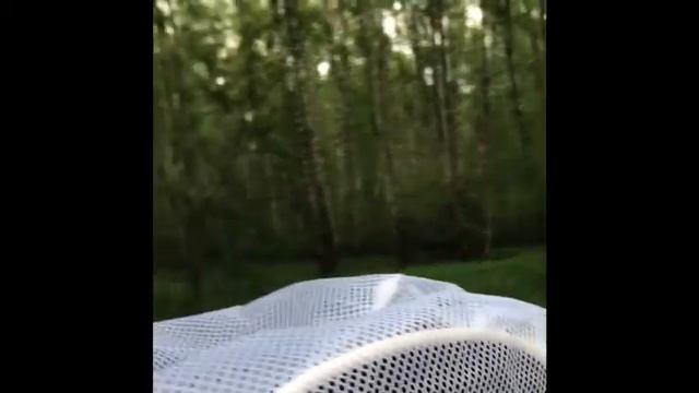 Маша В Лесу смотреть онлайн