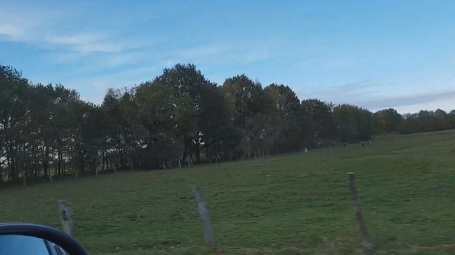 Поехали со мной смотреть онлайн