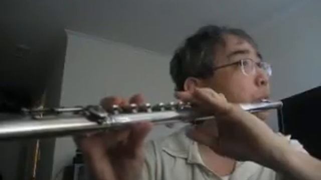 Beethoven Piano Sonata No 20 Op 49 in G major (Full) - Flute by Won Shik Paik смотреть онлайн