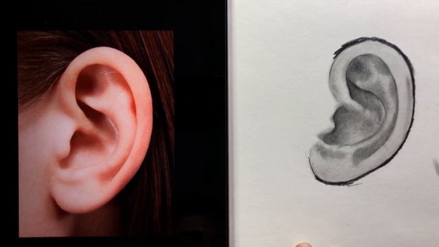 Portrait Drawing for Beginners | Day - 54 | How to draw Realistic Ear | Simple and Easy Technique смотреть онлайн