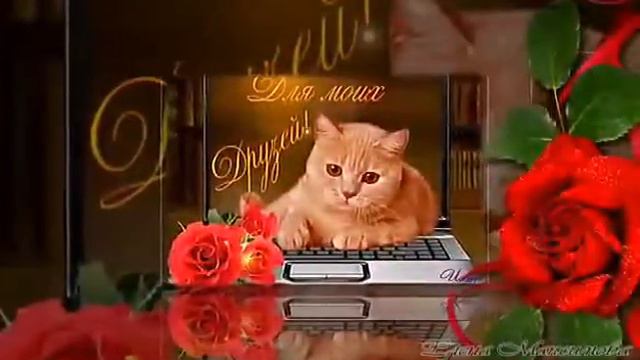 "За друзей!"- муз.Е.Рогова, сл.О.Сердцева смотреть онлайн