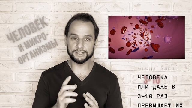 Жизнь микроорганизмов в теле человека смотреть онлайн
