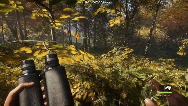 TheHunter Call Of The Wild сфотографировать лань на фоне озера