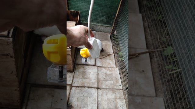 Кролики и фумигатор смотреть онлайн