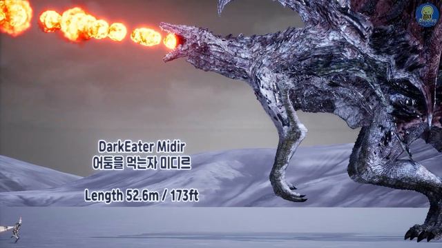 DarkSouls Dragons Size Comparison (다크소울 드래곤 크기 비교) (feat. Solaire)