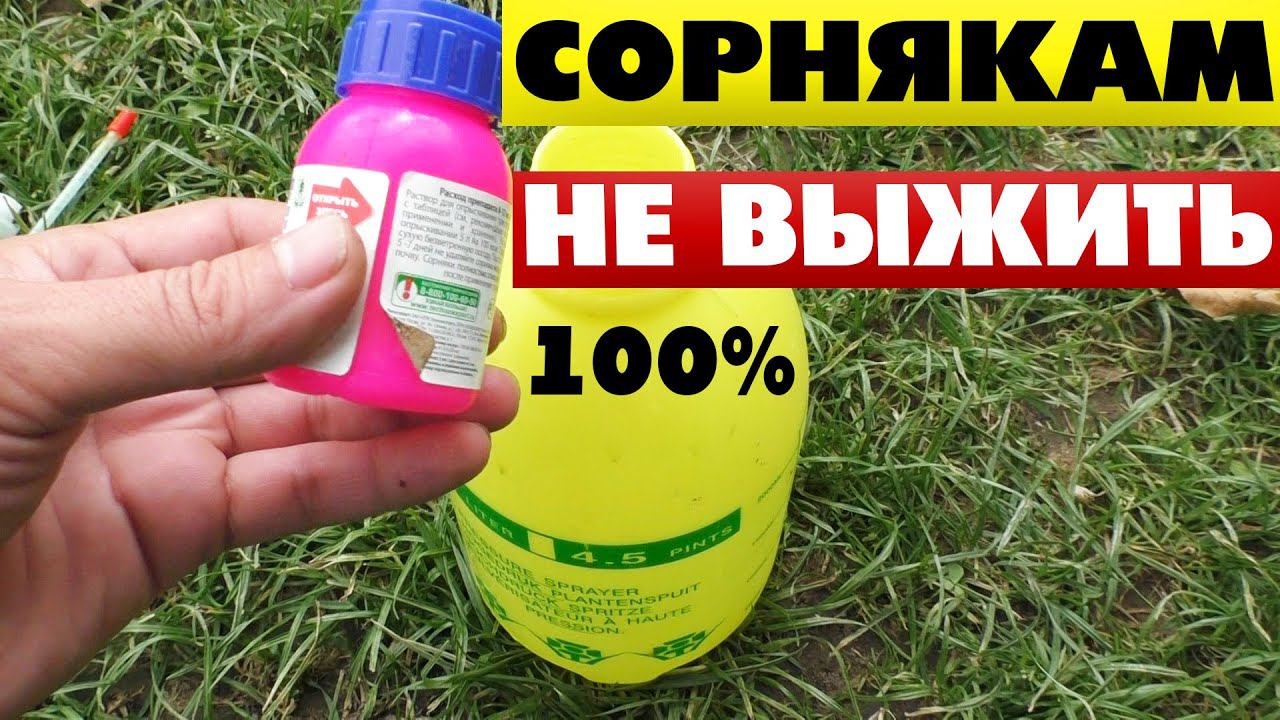 Как избавиться от травы на кладбище на все лето смотреть онлайн