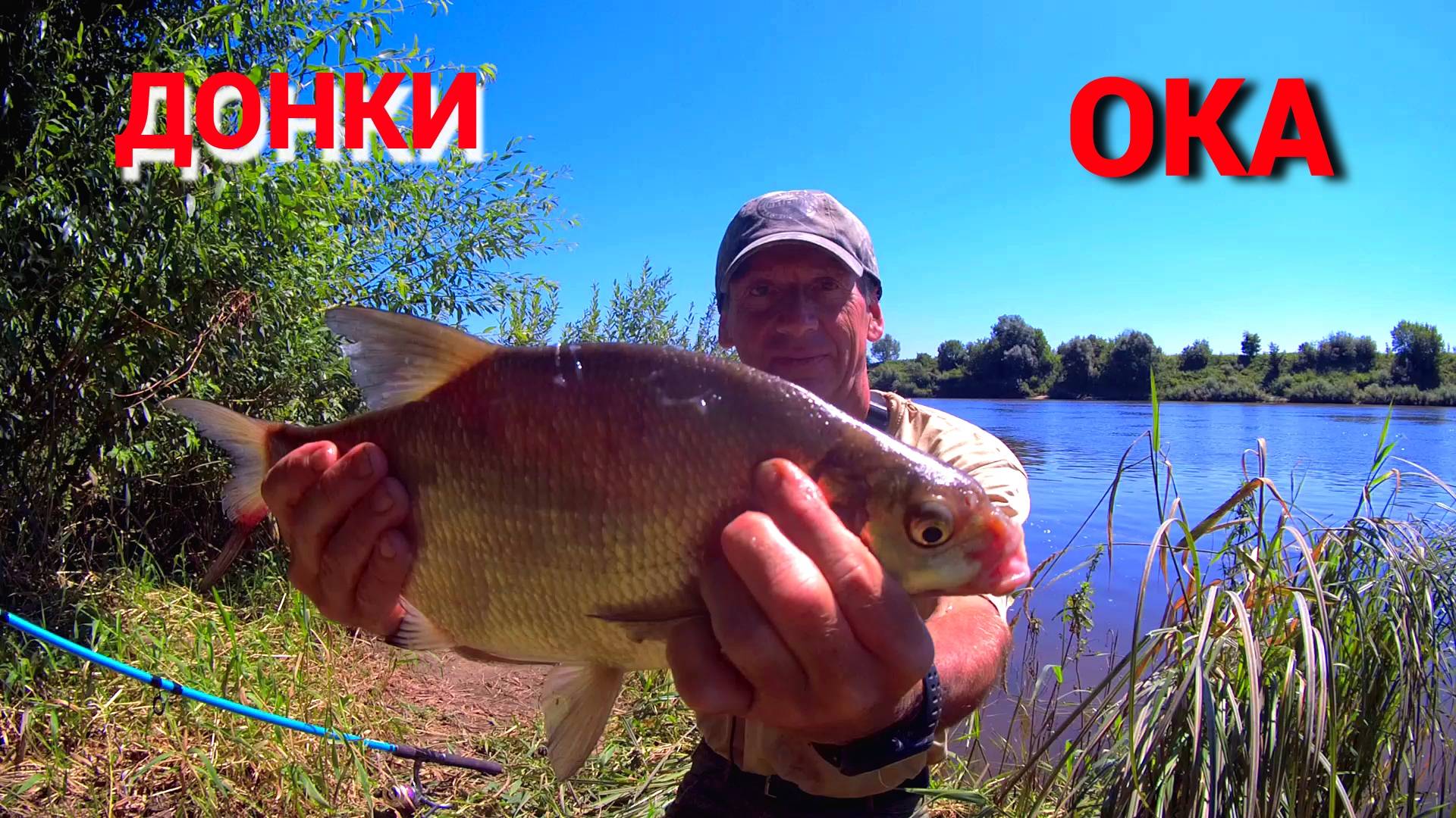 ПУЛЕМЁТНЫЙ КЛЁВ. ЛЕЩ НА САЛО. Рыбалка на донки на ОКЕ. смотреть онлайн