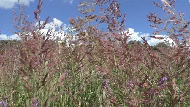 Прекрасная и удивительная природа России смотреть онлайн